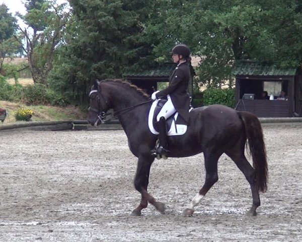 Reitturnier Datteln 2019