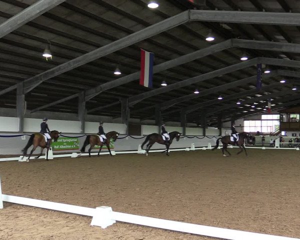 Reitturnier Münster-Albachten 2019