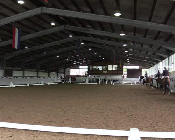 Reitturnier Münster-Albachten 2019