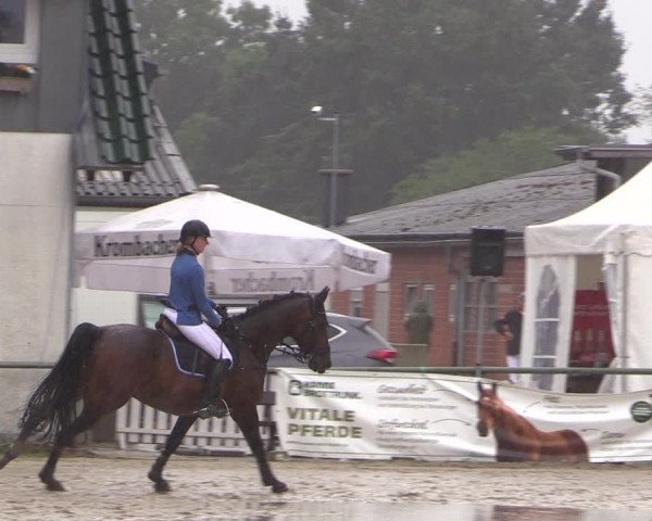 Reitturnier Datteln 2019