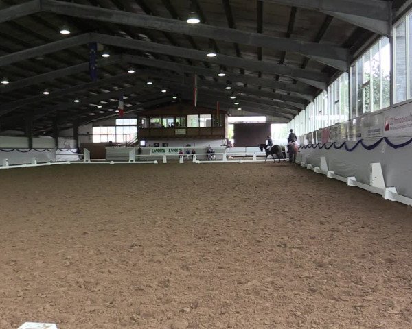 Reitturnier Münster-Albachten 2019
