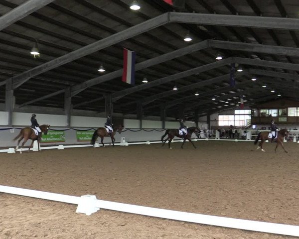 Reitturnier Münster-Albachten 2019