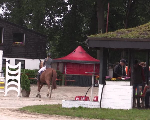 Reitturnier Datteln 2019
