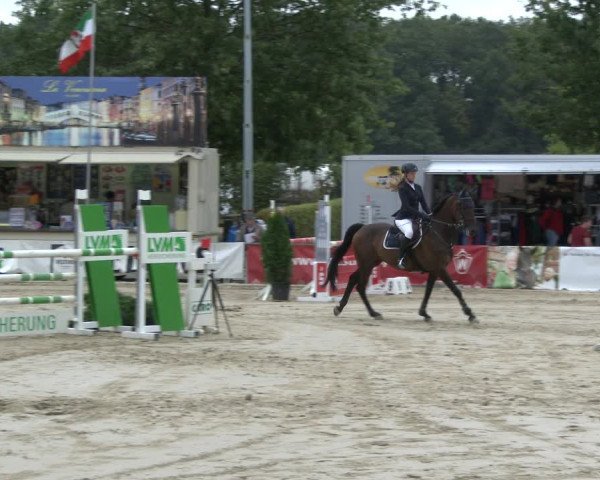 Reitturnier Münster-Albachten 2019