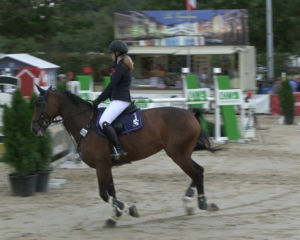 Reitturnier Münster-Albachten 2019