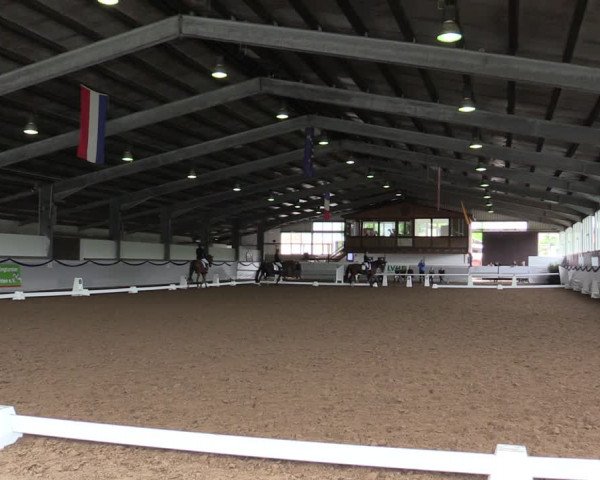 Reitturnier Münster-Albachten 2019