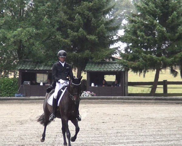 Reitturnier Datteln 2019