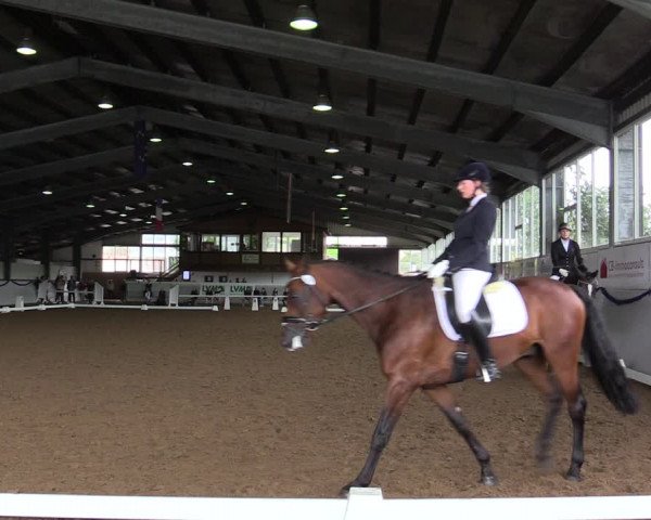 Reitturnier Münster-Albachten 2019