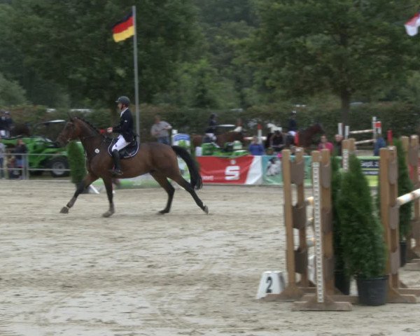 Reitturnier Münster-Albachten 2019