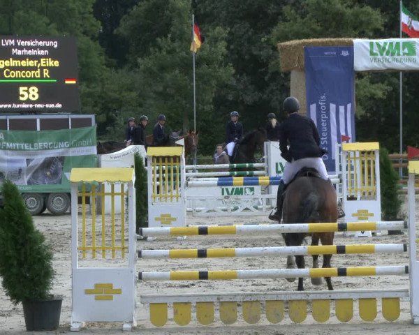Reitturnier Münster-Albachten 2019