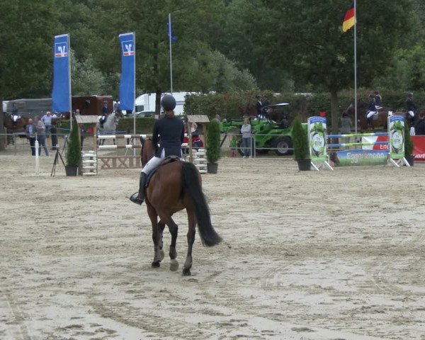 Reitturnier Münster-Albachten 2019