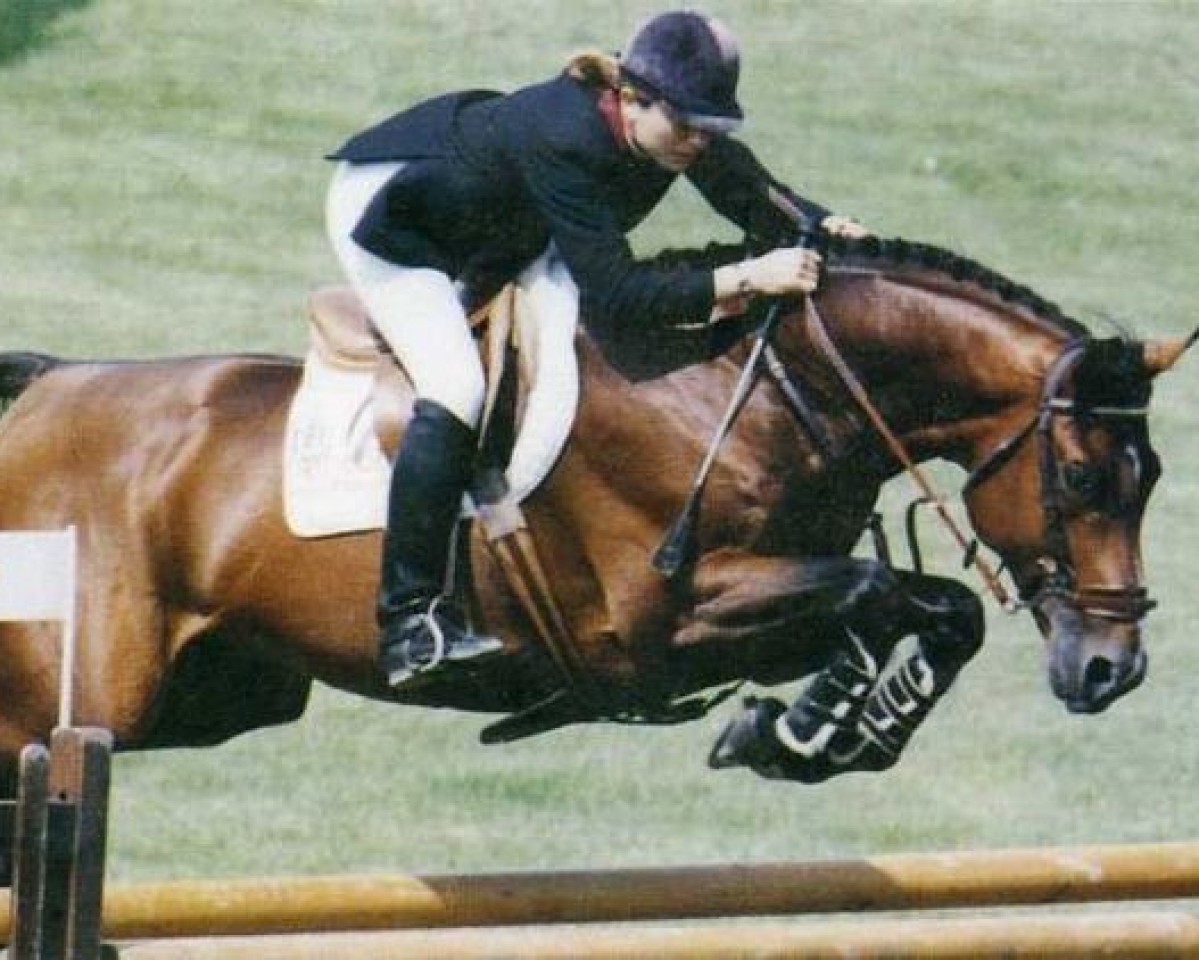 Deckhengst Ulior des Isles (Selle Français, 1986, von Uriel)