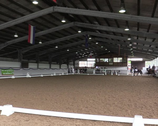 Reitturnier Münster-Albachten 2019