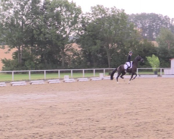 Reitturnier Menden 2019