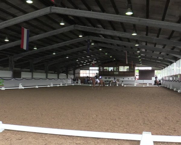Reitturnier Münster-Albachten 2019