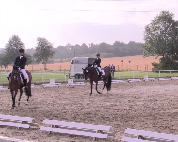Reitturnier Menden 2019