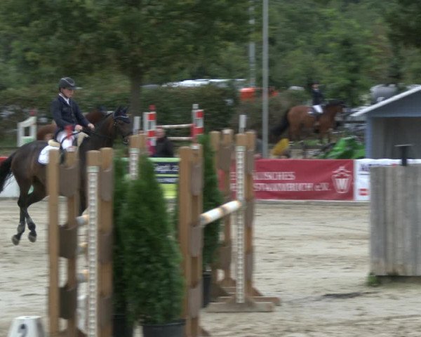Reitturnier Münster-Albachten 2019