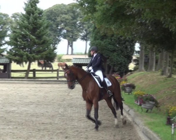 Reitturnier Datteln 2019