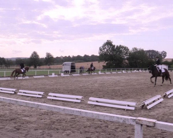 Reitturnier Menden 2019