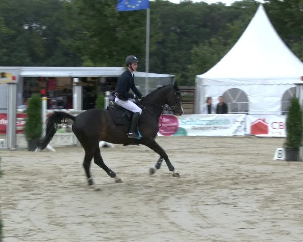 Reitturnier Münster-Albachten 2019