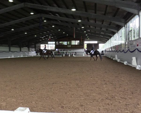 Reitturnier Münster-Albachten 2019