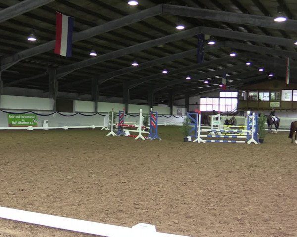 Reitturnier Münster-Albachten 2019