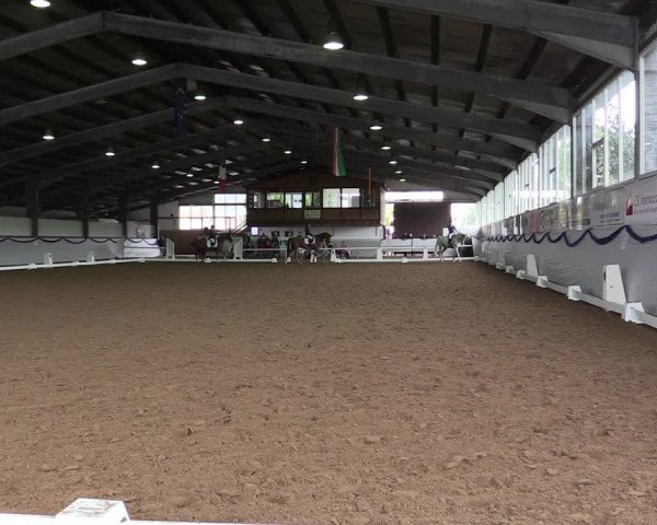 Reitturnier Münster-Albachten 2019