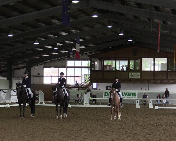 Reitturnier Münster-Albachten 2019