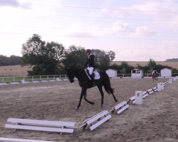 Reitturnier Menden 2019