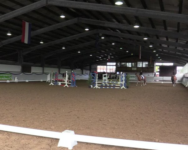 Reitturnier Münster-Albachten 2019