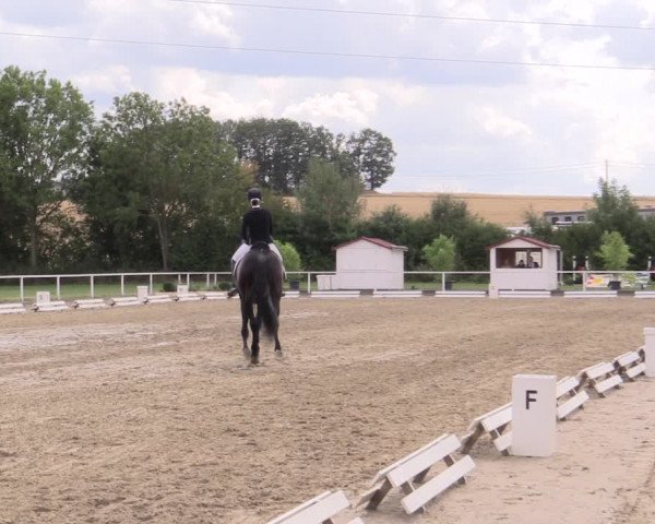 Reitturnier Menden 2019
