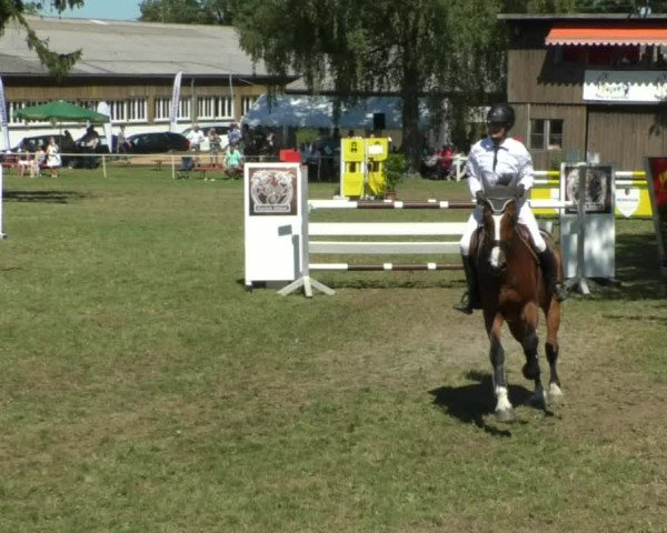 Reitturnier Memmingen/Schw. 2019