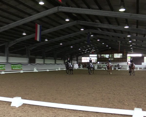 Reitturnier Münster-Albachten 2019