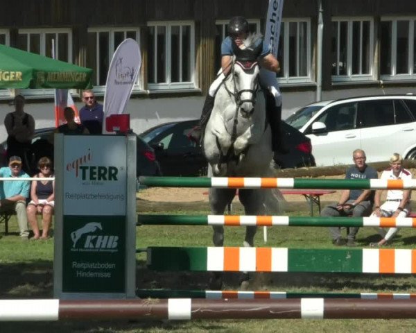 Reitturnier Memmingen/Schw. 2019