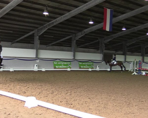 Reitturnier Münster-Albachten 2019
