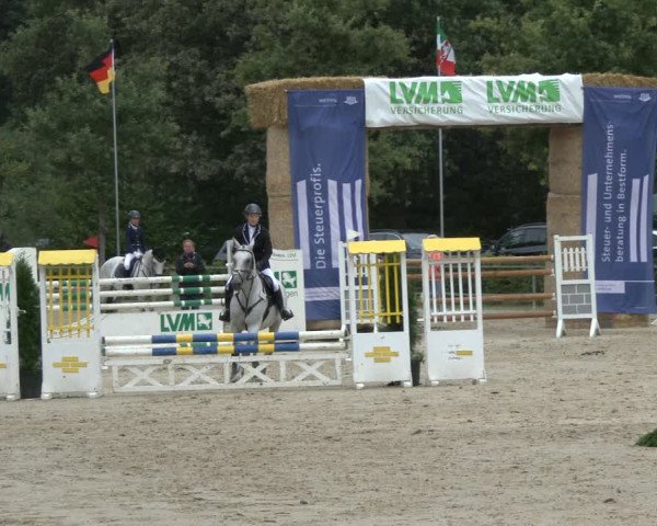 Reitturnier Münster-Albachten 2019