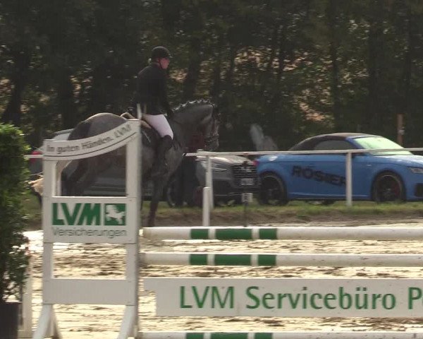 Reitturnier Menden 2019