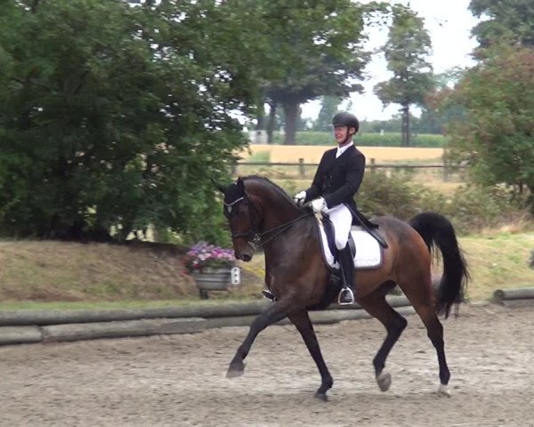 Reitturnier Datteln 2019