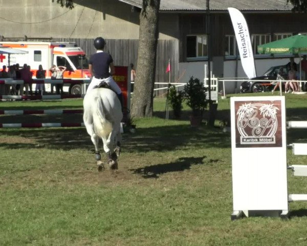 Reitturnier Memmingen/Schw. 2019