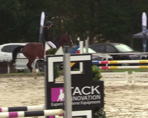 Reitturnier Menden 2019