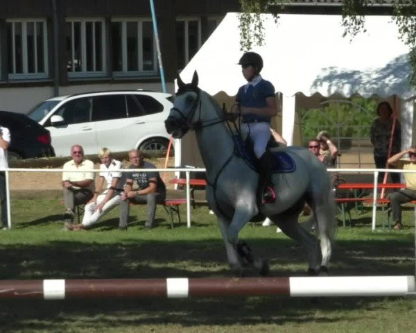 Reitturnier Memmingen/Schw. 2019