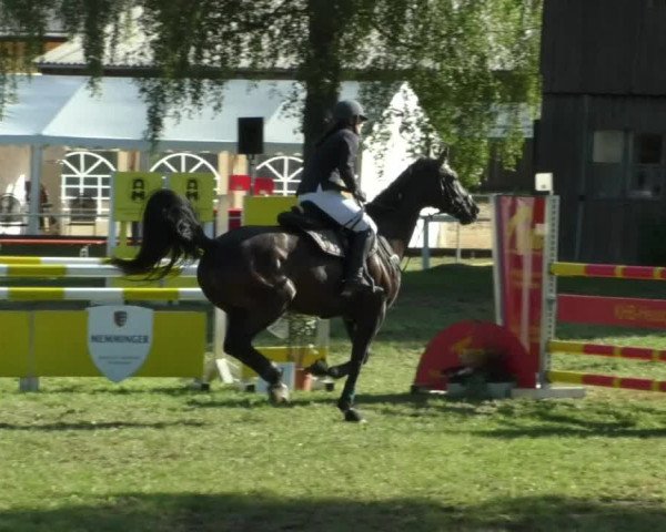 Reitturnier Memmingen/Schw. 2019