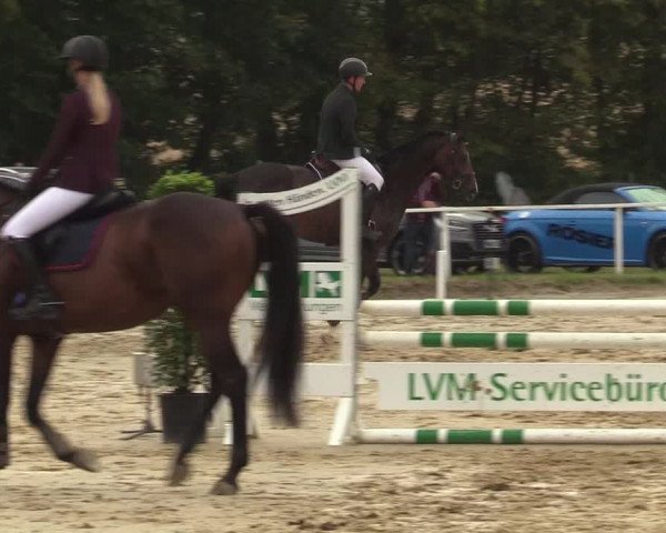 Reitturnier Menden 2019