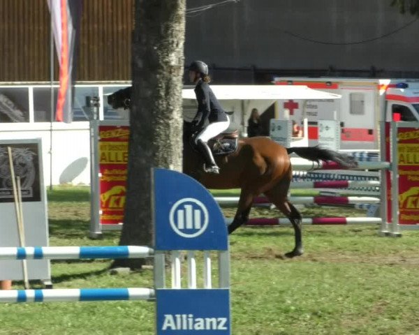 Reitturnier Memmingen/Schw. 2019