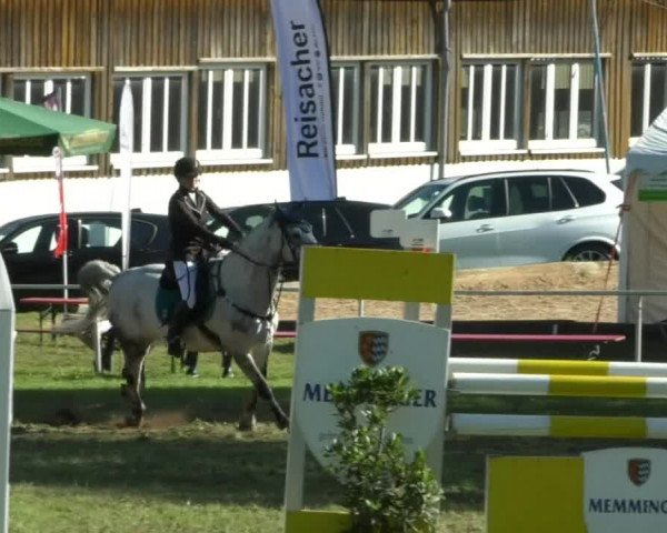Reitturnier Memmingen/Schw. 2019