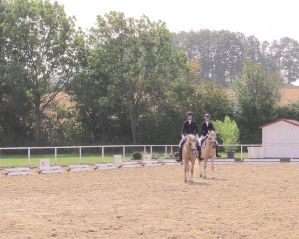 Reitturnier Menden 2019