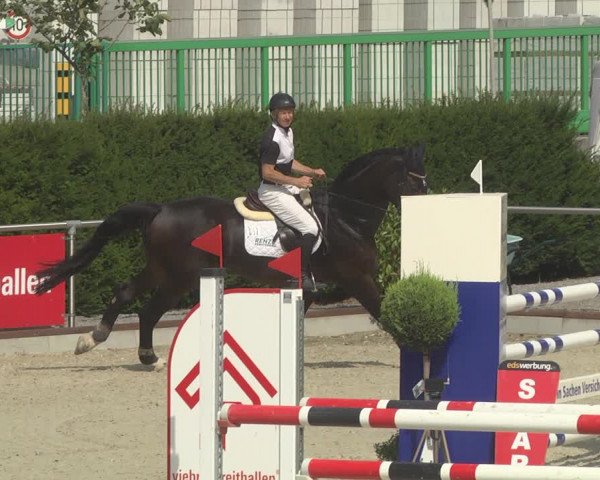 Reitturnier Durmersheim-Hardt 2019