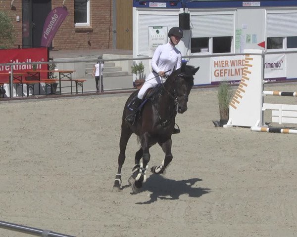 Reitturnier Durmersheim-Hardt 2019