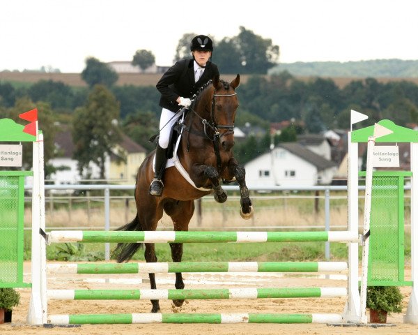 jumper Look-at-me (Hanoverian, 2001, from Lacantus)