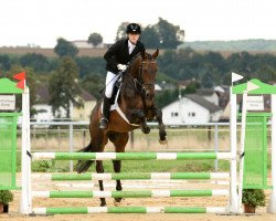 jumper Look-at-me (Hanoverian, 2001, from Lacantus)